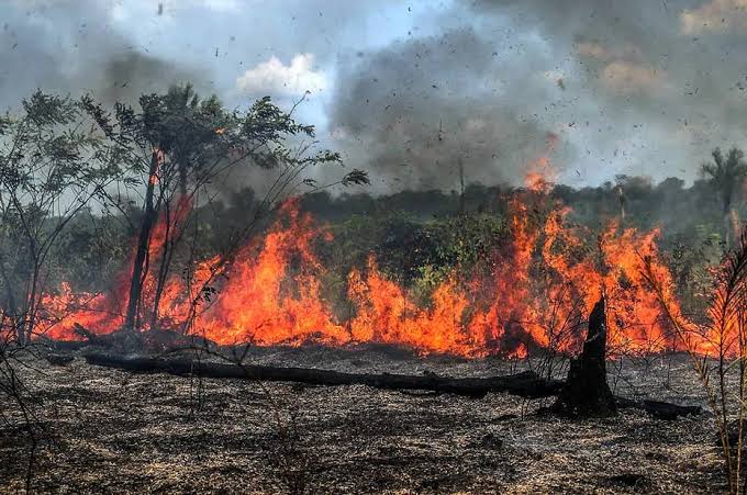 Na Capital, poluição do ar está seis vezes acima do aceitável pela OMS, alerta monitoramento